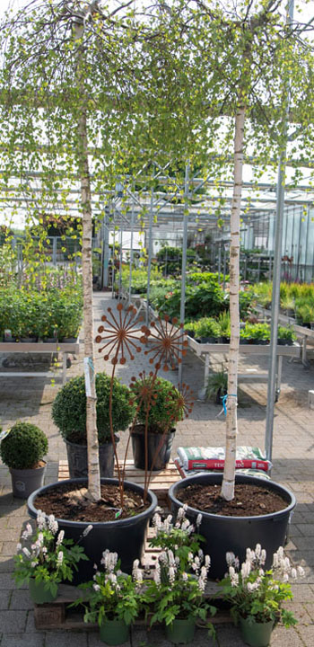Gebhardt - Ihr Gartencenter im Aachener Süden