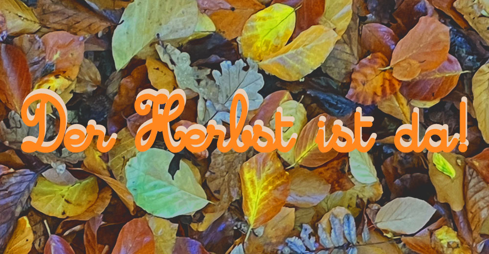 Gebhardt - Ihr Gartencenter im Aachener Süden Der Herbst ist da!