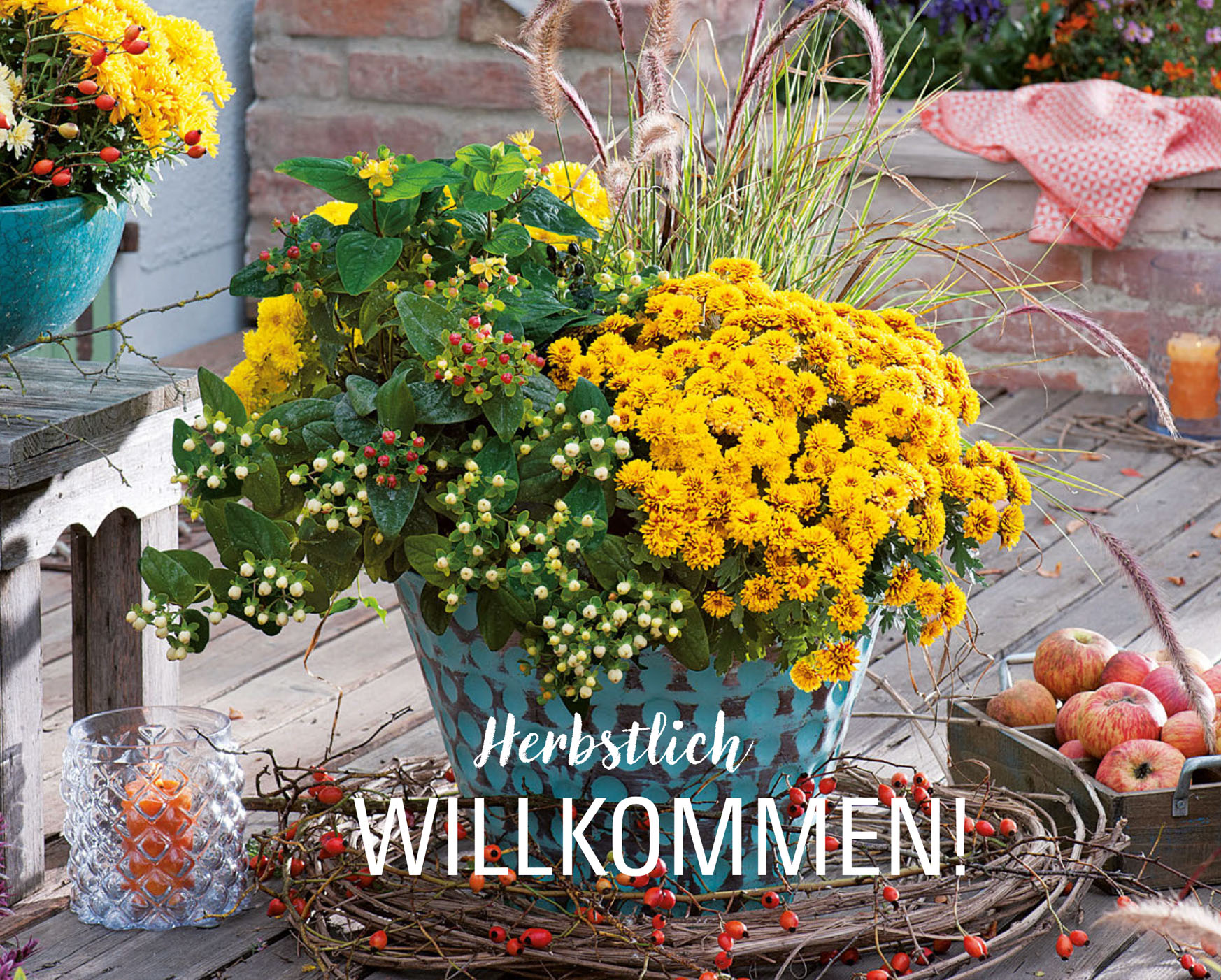 Gebhardt - Ihr Gartencenter im Aachener Süden Der Herbst ist da!